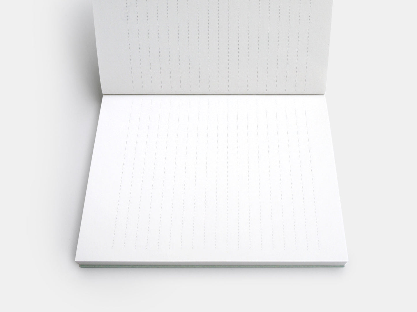 Novel Notebooks